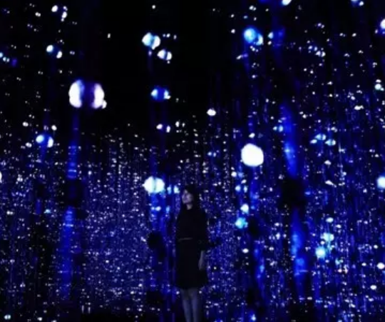 景觀亮化,魔幻深林公園 景觀亮化,魔幻深林公園